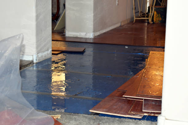 Professional Water Damage Restoration technician working in Tremont, IL